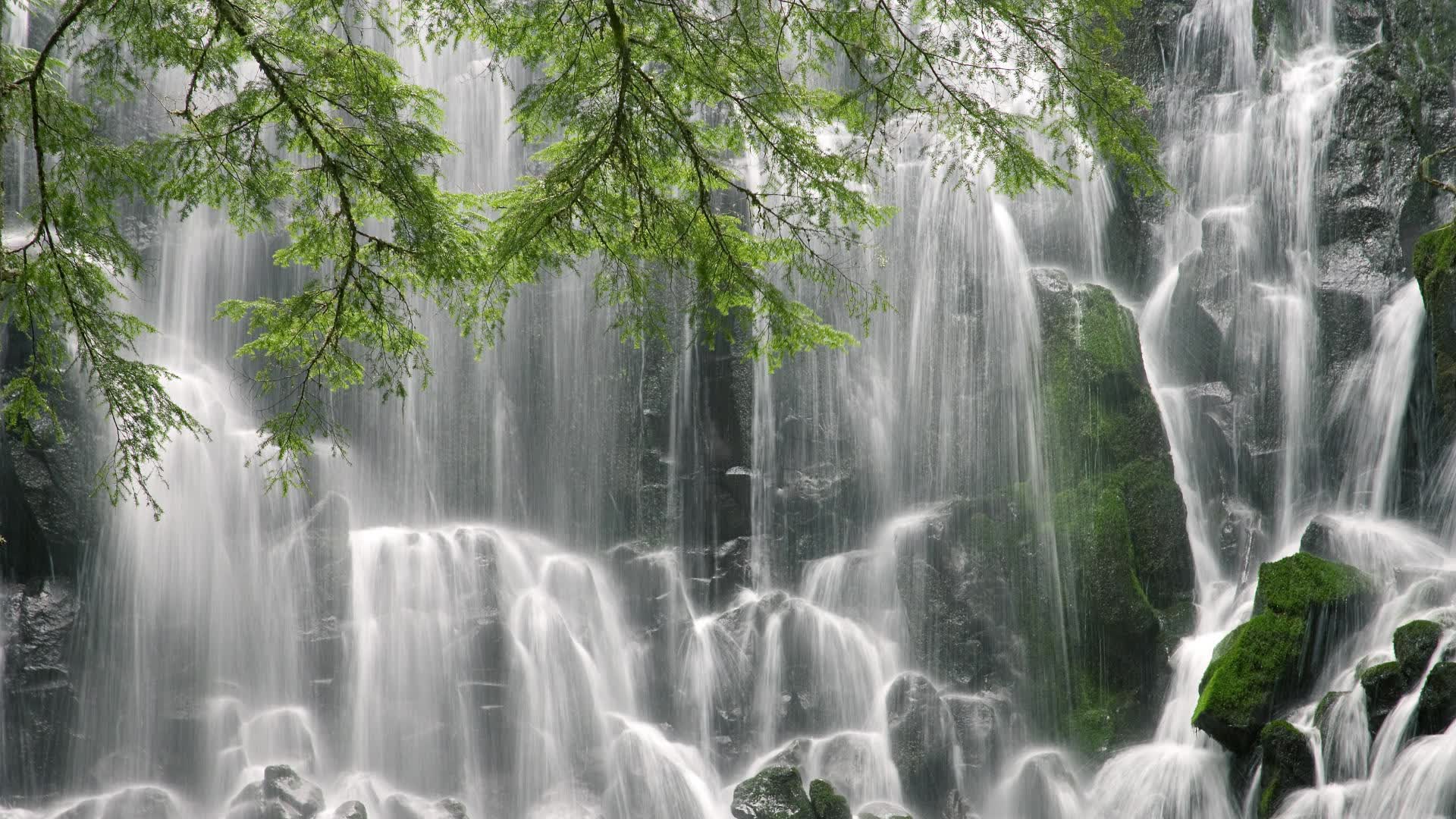 世界短道速滑科研训练营示范成果入选教案库,世界短道速滑锦标赛